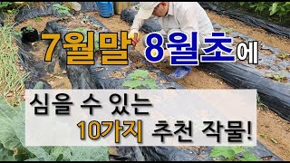 7월말 8월 초에 심을 수 있는 10가지 추천 작물! #주말 농장 텃밭 가꾸기 #장마 끝나고 심을 수 있는 …