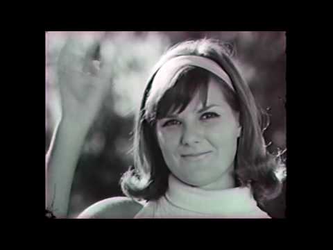 HD & HR Holden - The "Kidney Cutter" Controversy