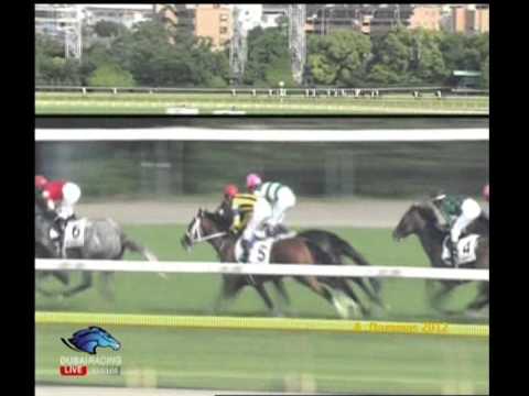 JAPANESE DERBY 2012 G1   Deep Brillante   JAP