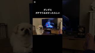 - ガチでうるさかったらしい