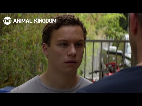 Animal Kingdom: Meet The Family [RECAP] | TNT