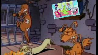 Rocko&#39;s modern life  stray dogs reaction to Teen Titans Go!