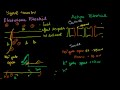 Saltatory Conduction in a Neuron Video Tutorial