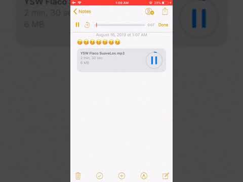 SuaveLos x YSW Flaco *unreleased*