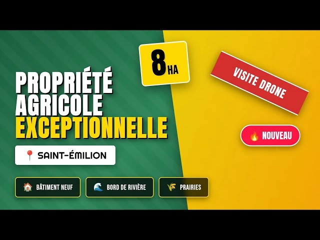 Belle propri&eacute;t&eacute; agricole &agrave; Montagne (Saint-Emilion)