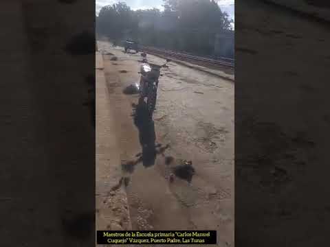 Maestros recogiendo la basura en Vázquez, Puerto Padre.