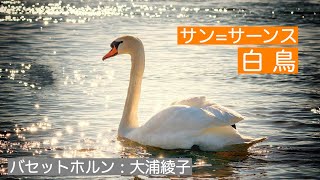 Download lagu サン=サーンス「白鳥」 mp3