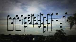 Amazing Music by the Birds on a Wire
