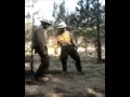 Fire Dancing ELMO Version