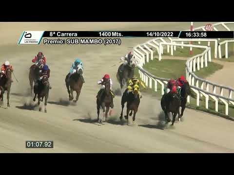 221014 c08 - SALVADOR - HIPODROMO LAS PIEDRAS