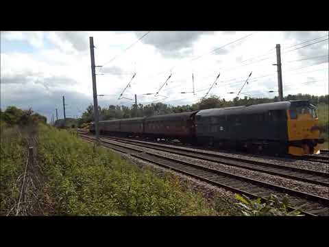 The Sunday Yicker 09th June 2019