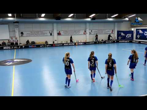 20190303 BTSM EräViikingit - PSS, Mosa