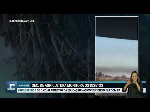 Ministry of Agriculture declared a state of emergency in states due to locust swarm