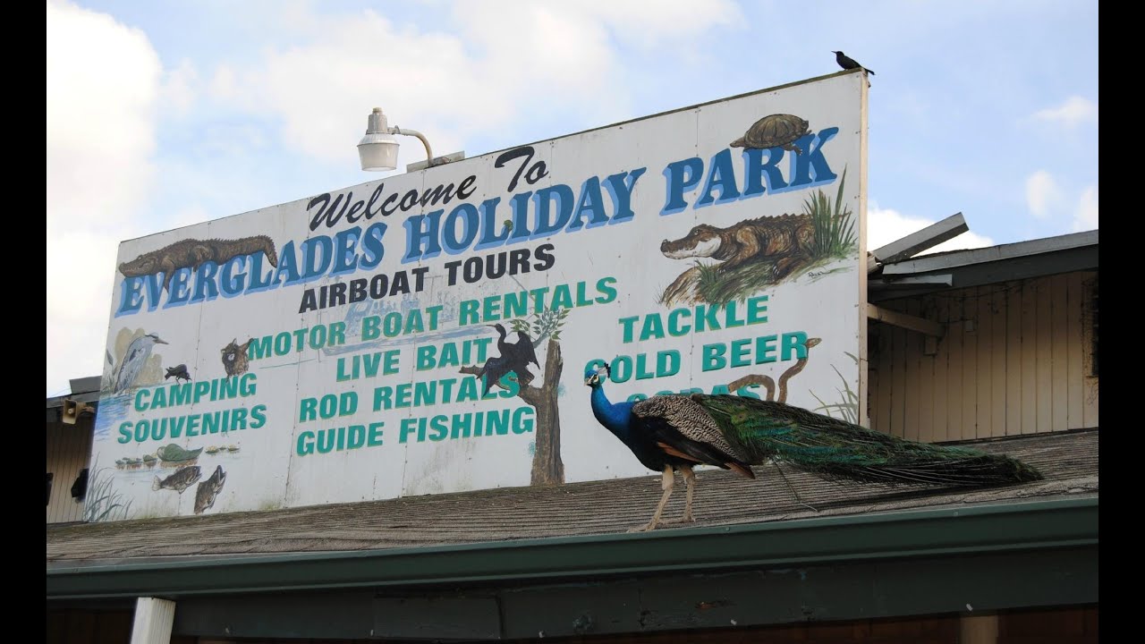 Everglades Holiday Park: An Introduction to Florida's Everglades
