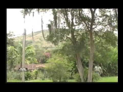 SE PELEARON POR EL PALO.