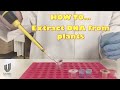 HOW TO Extract Plant DNA