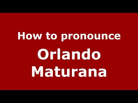 How to pronounce Orlando Maturana
