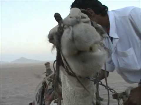 7 Dan D Noy   Live at Pacha Club Egypt Sharm el Sheikh   Bring The Noise Remix   Public Enemy Vs Benny Benassi