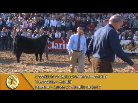 27-07-17 Jura Angus Vaquillona Mayor - Palermo