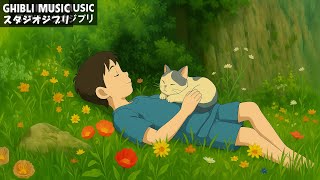 ジブリメドレー 🌊🌹史 上 最 高 のピアノジブリコレクション 🥀ジブリのベストピアノ曲 🥀 魔女の宅急便, となりのトトロ, 千と千尋の神隠し