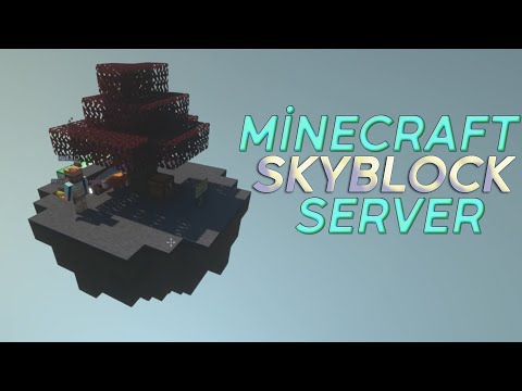 Insane Skyblock Server on Minecraft! Must See 😱