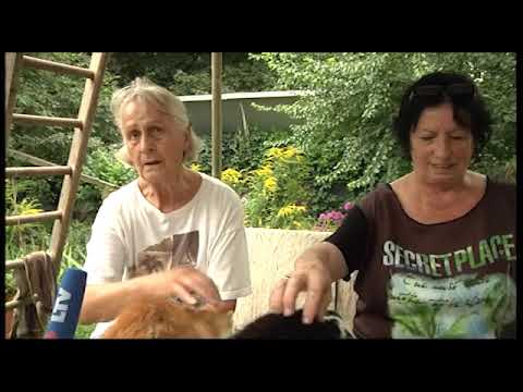 LTV-Aktuell vom Donnerstag - 08.08.2013