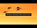 World Migratory Bird Day 2021 | Sing, Fly, Soar — Like a Bird!