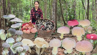 ขึ้นเขาสูงหมานอีกแล้วผึ้งชมพูดอกงามๆก่อแดงสวยๆผึ้งดำดอกขาอวบๆหมู่ใหญ่ๆหมานเต็ม 2 ตะกร้าจ้า18 มิ.ย 68