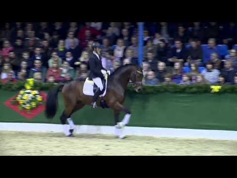 Radisson by Rock Forever - Sevillano xx / Stallionshow Vechta 2015 / Böckmann Pferde