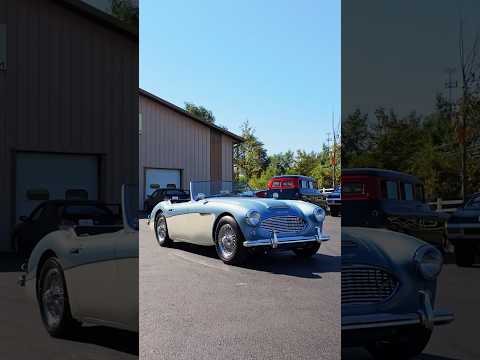 1959 Austin-Healey 3000 (CC-1875745) for sale in Volo, Illinois