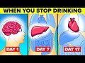 What Happens To Your Body When You Stop Drinking Alcohol