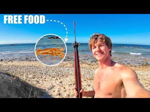 CRAYFISH CATCH & COOK from the South African Coastline