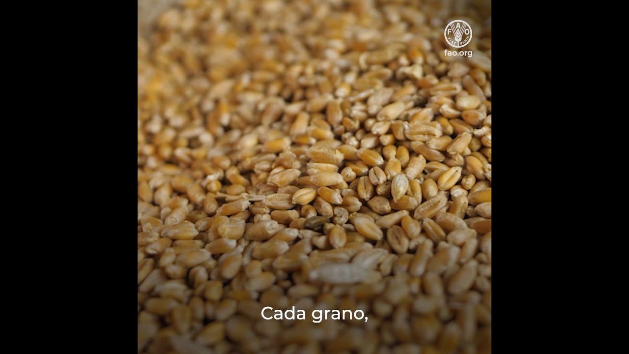 Sanidad vegetal y bioseguridad