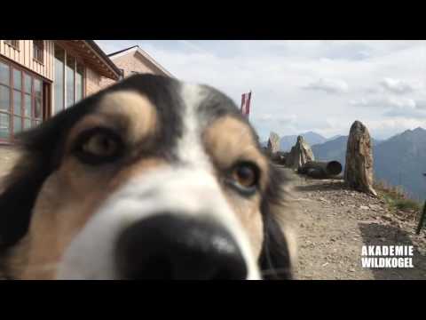 Akademie Wildkogel Speckstein Abstrakt