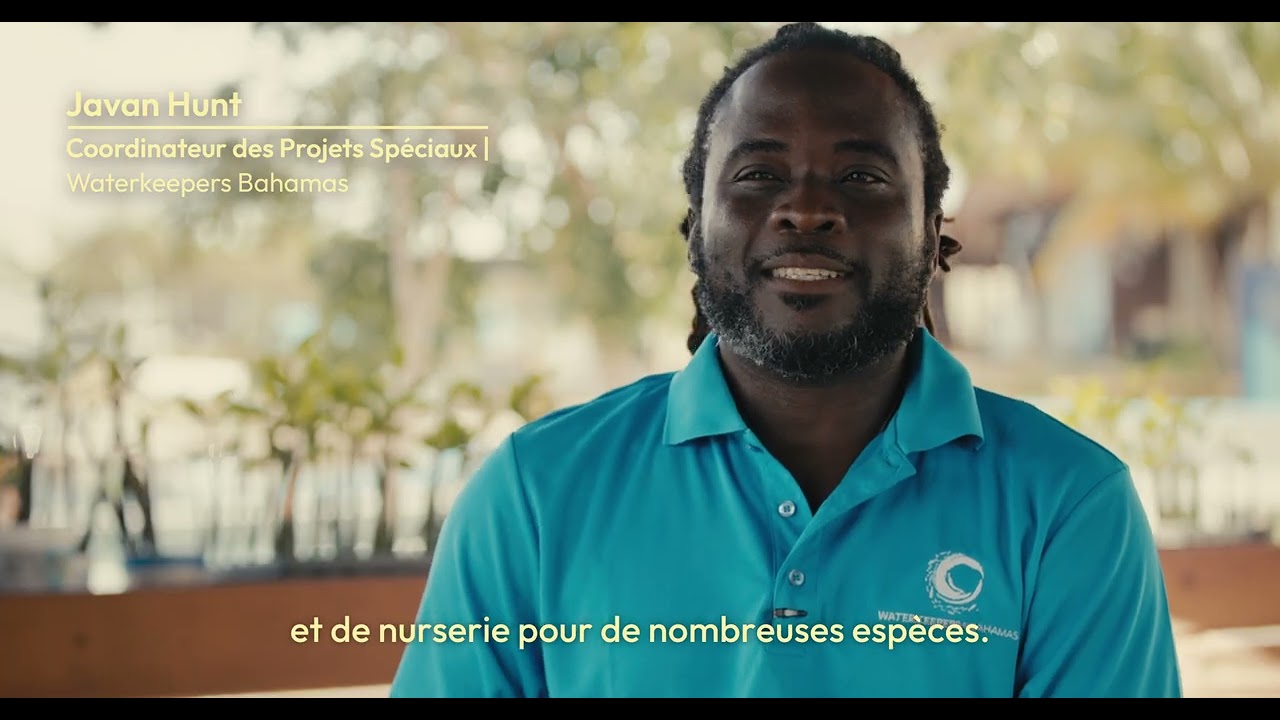 Mangroves, Resilience and Restoration: The Bahamas Protected Areas Fund | CBF NCTF Stories (French)