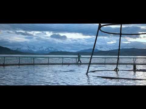 Hofseth BioCare - This is different