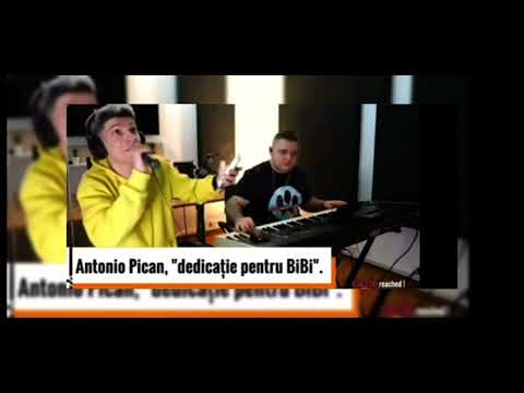 Antonio pican Dedicație pentru Bibi💔