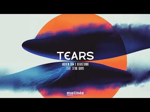 Andrew Dum vs Headstrong feat. Stine Grove - Tears [remix]