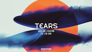 Andrew Dum vs Headstrong feat. Stine Grove - Tears [remix]
