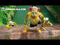 Flowers Onam Song 2016 ഇങ്ങനൊരു വരവ് ഇന്ത്യൻ ടെലിവ�
