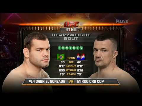 Mirko FILIPOVIĆ VS Gabriel GONZAGA UFC ULTIMATE FIGHT 2015