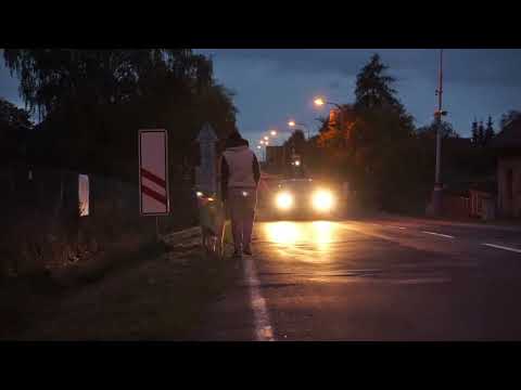 Dog Lighthouse - podílejte se na bezpečnějším světě pro psy