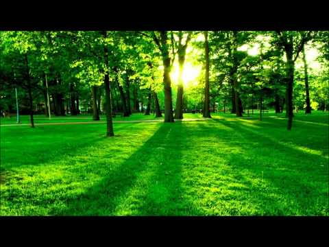 Emil Berliner - Flummifreuden