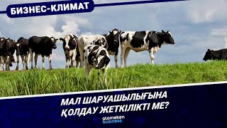 Мал шаруашылығына қолдау жеткілікті ме?
