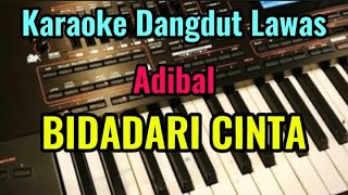 Download lagu BIDADARI CINTA [ Adibal ] Karaoke Dangdut mp3
