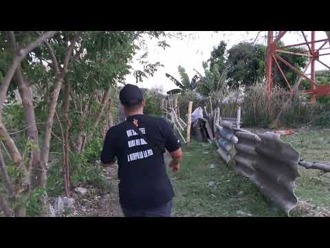 El proyeto santa teresa de  san martin san salvador