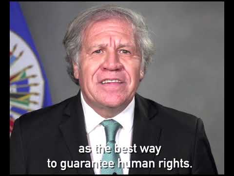 1320x1080 Landing   Minority Chamber Of Commerce