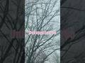 Song : Unexpected so, Album :Stubborn. #frenchsinger #electropop #elodieo #frenchpop #synthpop