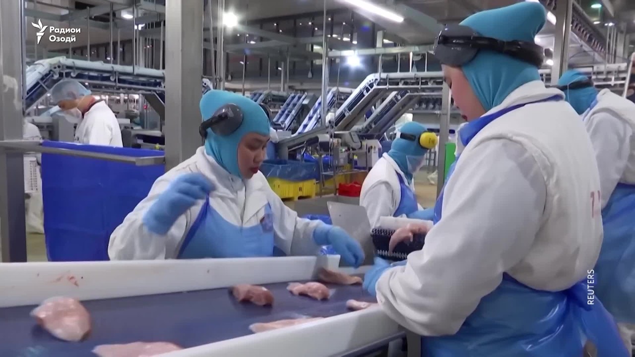 Лаҳистону Маҷористон, мумкин аст, муҳоҷирони хориҷиро камтар кунанд