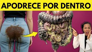 O que acontece depois do AN4L